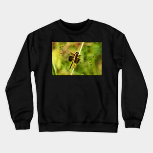 The Glow Of A Dragon Crewneck Sweatshirt